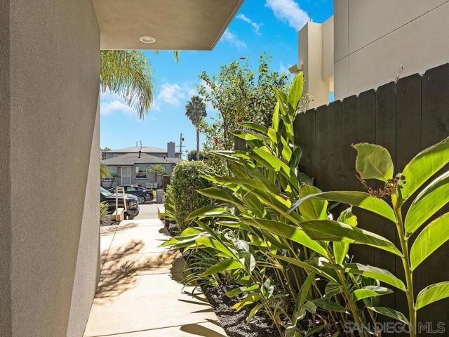 938 Opal St, San Diego CA: https://media.crmls.org/mediaz/ffc9f03d-3070-4842-a427-7ad4bb8a864f.jpg