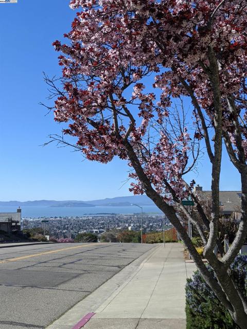 37 Binnacle Hl, Oakland CA: https://media.crmls.org/mediaz/ffcf4776-5240-445e-9e43-09756c356c1c.jpg