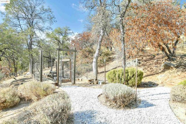 16096 Parkridge Ave, Sonora CA: https://media.crmls.org/mediaz/ffd14e1f-6421-4fff-b07e-d5d655d5c361.jpg