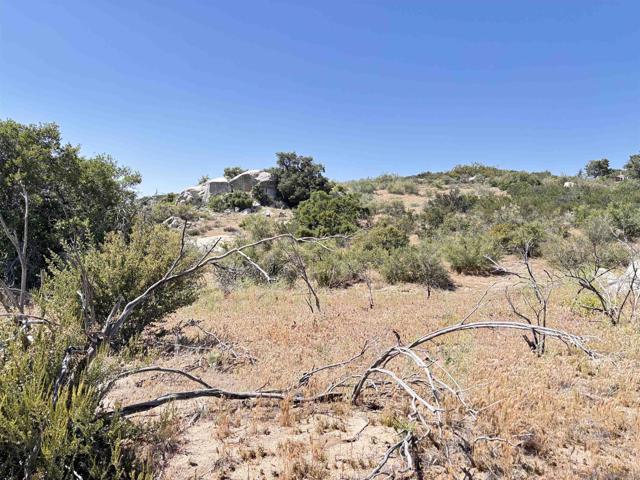 Image 3 of 10 For 38430 Lilac Ln.