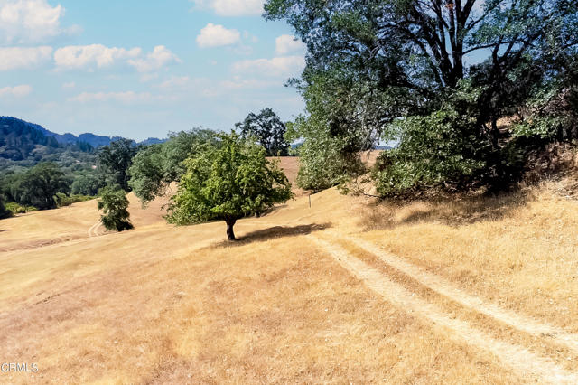 Detail Gallery Image 6 of 23 For 18300 Walker Rd, Willits,  CA 95490 - – Beds | – Baths