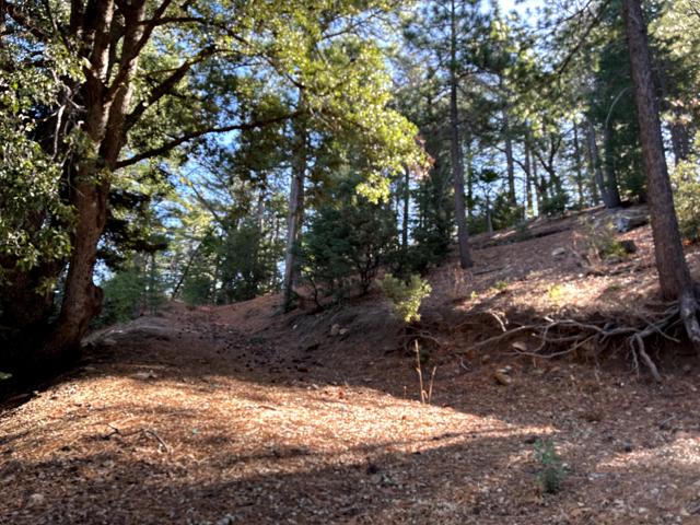 0 Green Craig, Idyllwild CA: https://media.crmls.org/mediaz/ffde8e46-0574-43c4-a81b-1a7ee8ae0788.jpg