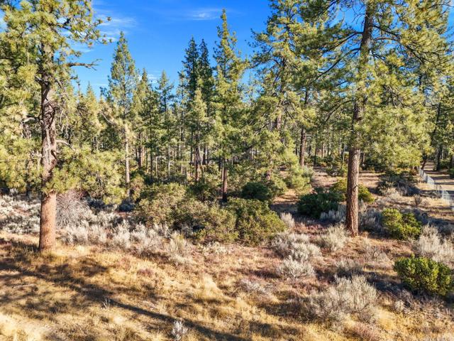 1 Pipe Creek Road, Mountain Center CA: https://media.crmls.org/mediaz/ffe51d76-300d-4cfa-8409-f89f22ba2ef6.jpg