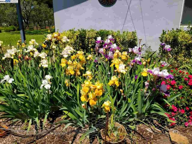 Image 41 of 44 For 15828 Barney Rd