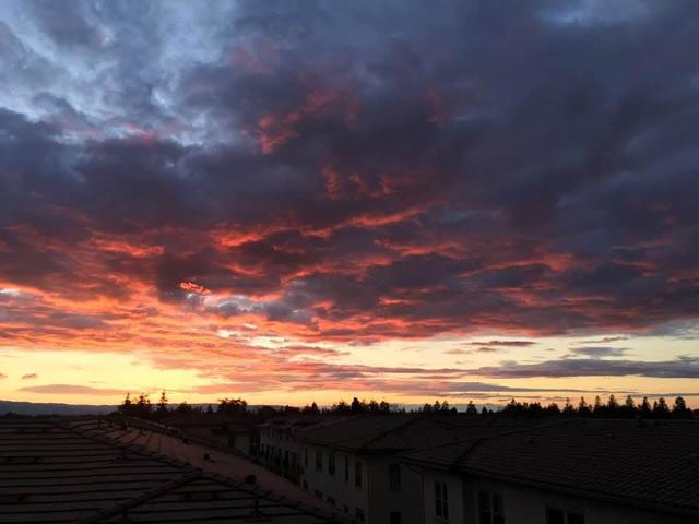 1068 Bigleaf Place, San Jose CA: https://media.crmls.org/mediaz/fffa0116-af2d-4ed9-8fdb-04f84b9e279c.jpg