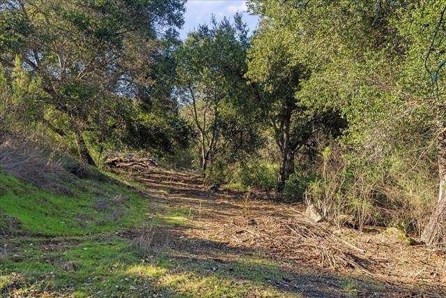 0 Old Santa Cruz Highway, Los Gatos CA: https://media.crmls.org/mediaz/fffdd6e2-5c59-49a6-ad59-7e10fdf671b6.jpg
