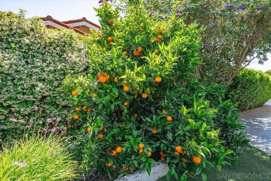 https://media.crmls.org/mediaz/ffff33ec-aac1-430d-b37b-a88df1155359.jpg?preset=X-Large